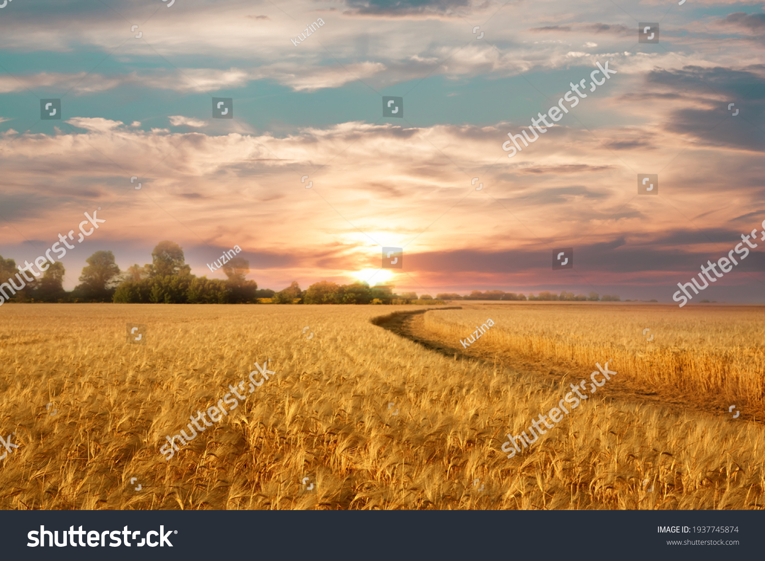 Golden wheat field on the background of hot summer sun and blue sky with white clouds.Ground road leaving to the horizon. Beautiful summer landscape. #1937745874
