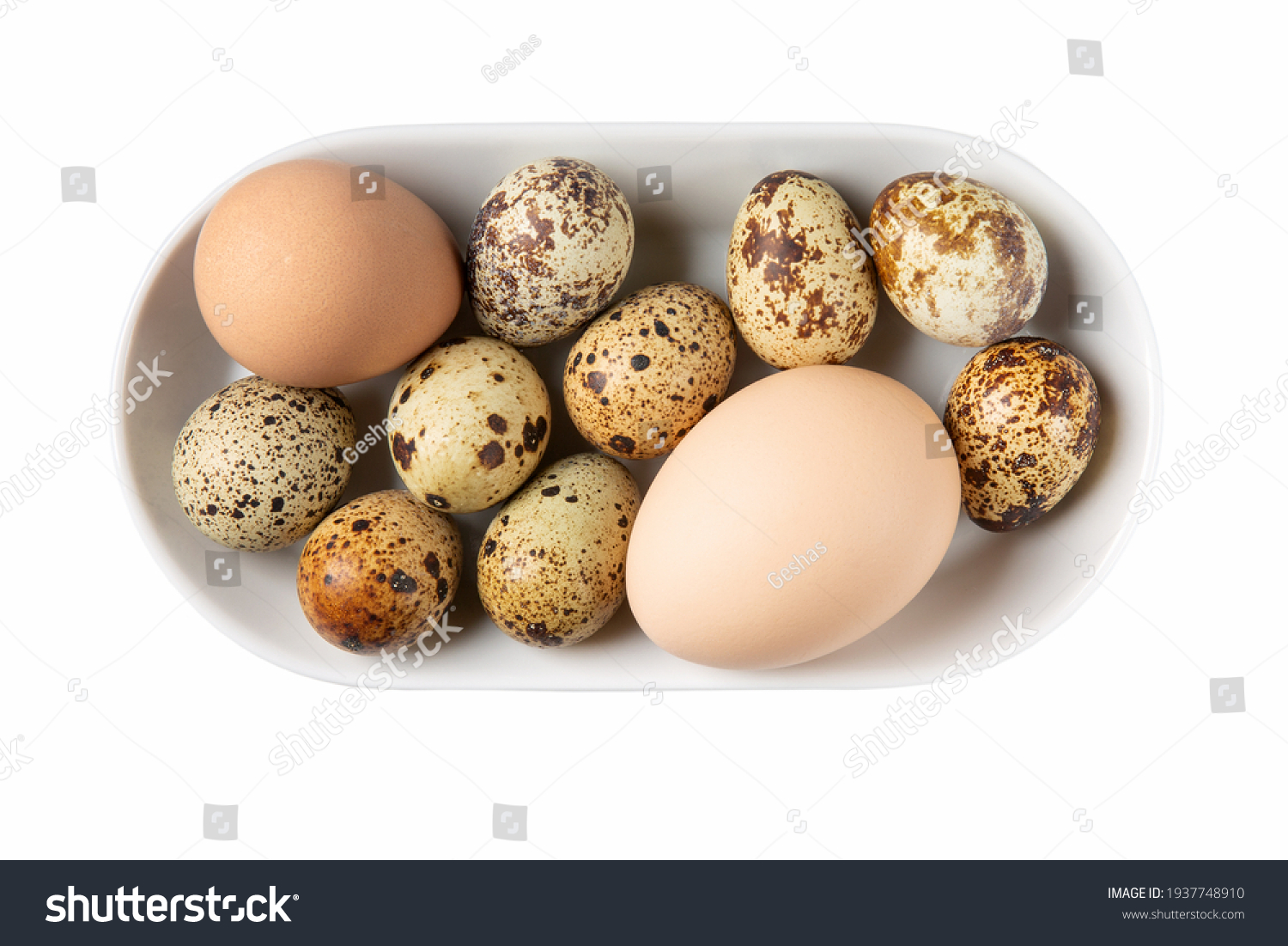 Different types of eggs in bowl isolated on white. Chicken, guinea fowl and quail eggs on white plate. Top view. #1937748910