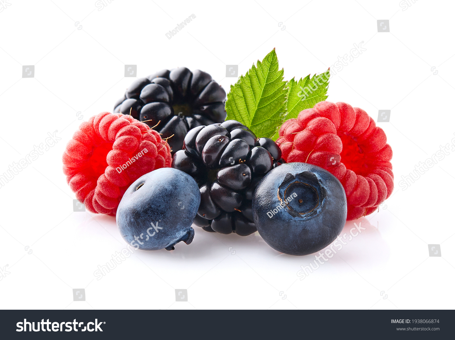 Berries with leaves on white background #1938066874