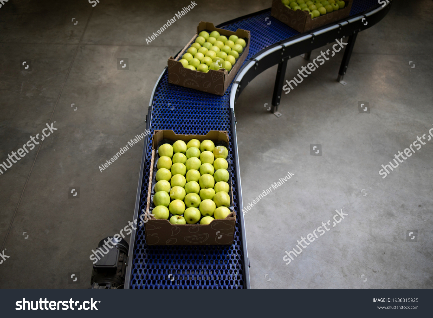 Top view of crates full with green organic apples being transported on conveyer belt in food processing factory. #1938315925