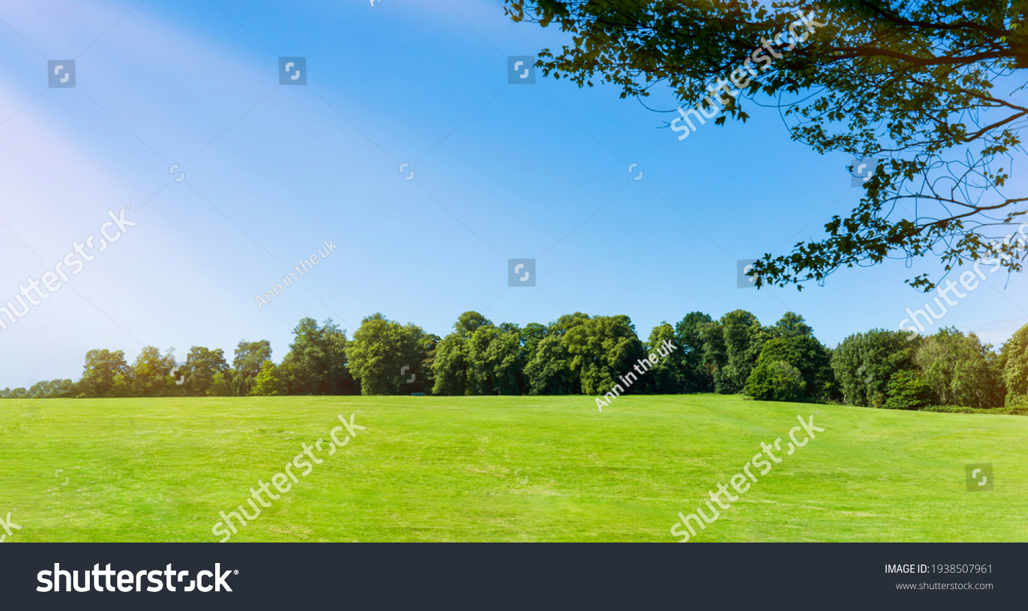 Spring field landscape with Morning sunrise,blue sky,cloud over green grass lawn  and forest tree in the environment public park,Horizon Summer Nature garden with grassland with sunlight, #1938507961
