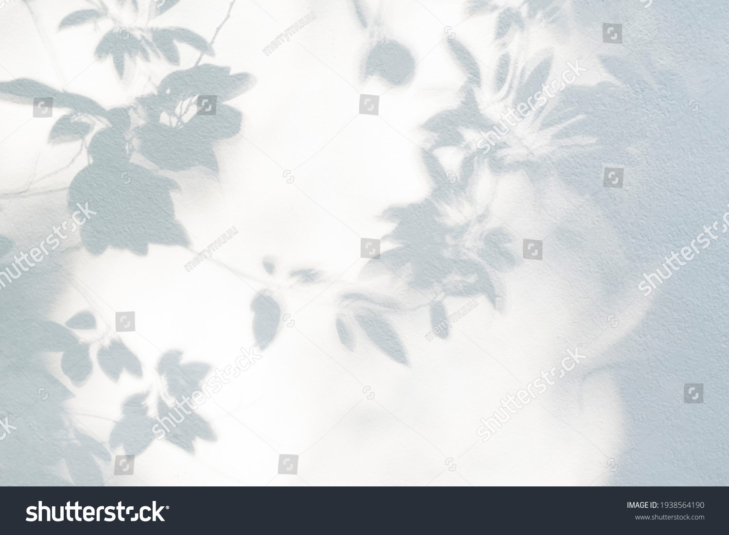 Leaf shadow and light on wall blur background. Nature tropical leaves tree branch shade with sunlight on white wall texture for background wallpaper and design
 #1938564190