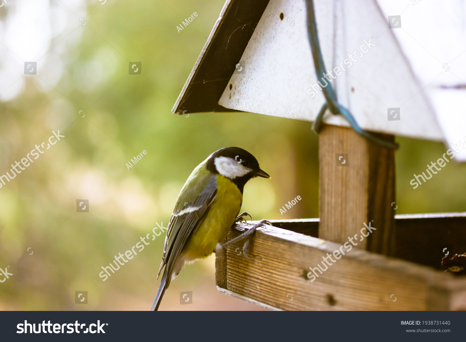 A tit eats food from a bird feeder. wooden bird house. Yellow little bird in the park on a sunny day. Protection of nature and the environment concept. Hungry titmouse bird, latin name Parus major. #1938731440
