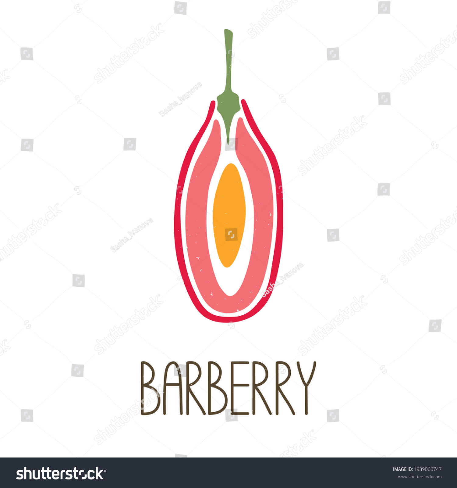 Cute caption sliced barberry isolated on transparent background. Colorful pictogram original design. Can be used for infographics, identity or decoration. Vector shabby hand drawn illustration #1939066747