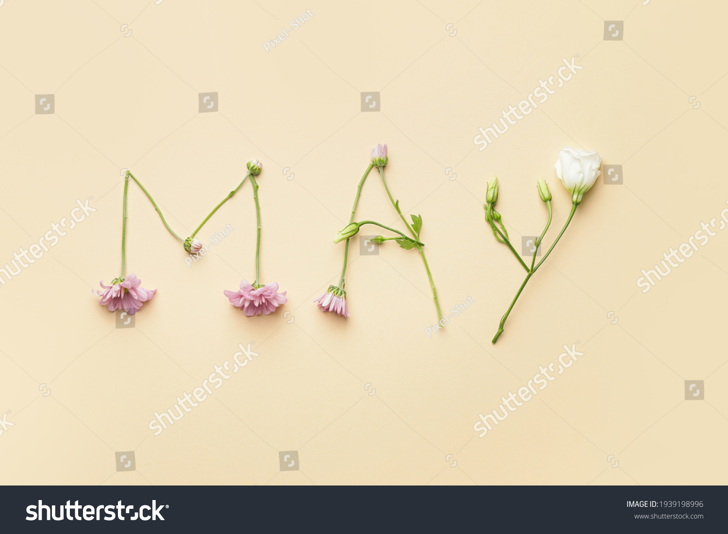 Word MAY made of beautiful flowers on color background #1939198996