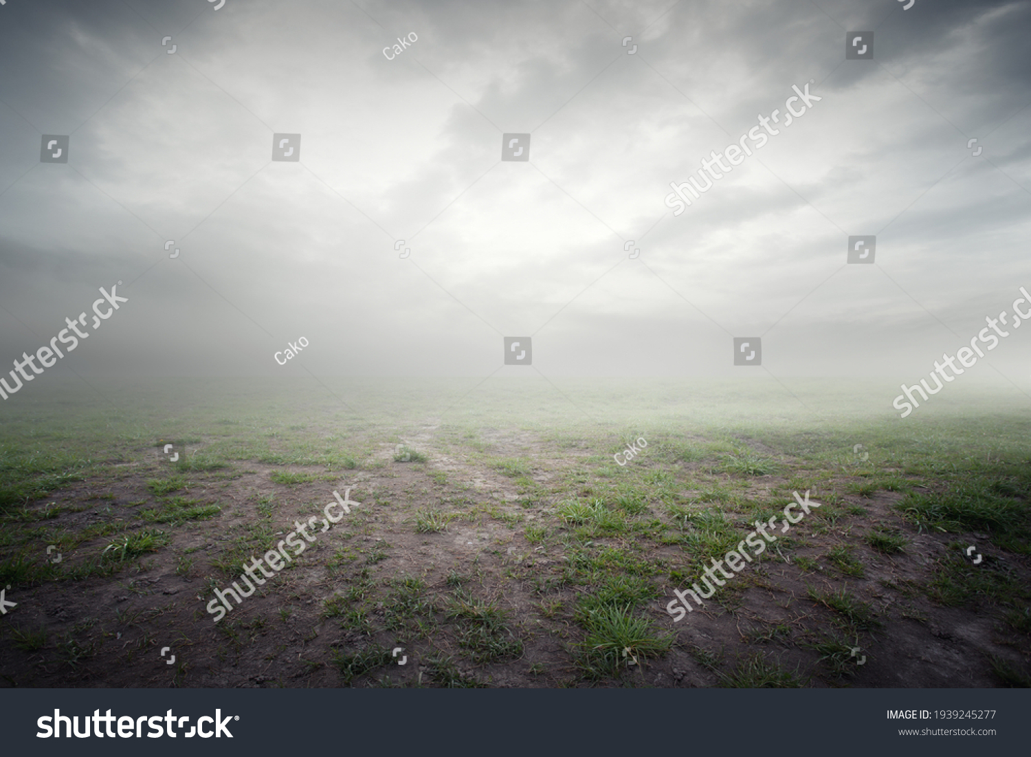 Beautiful grass background with ground mist and clouds #1939245277