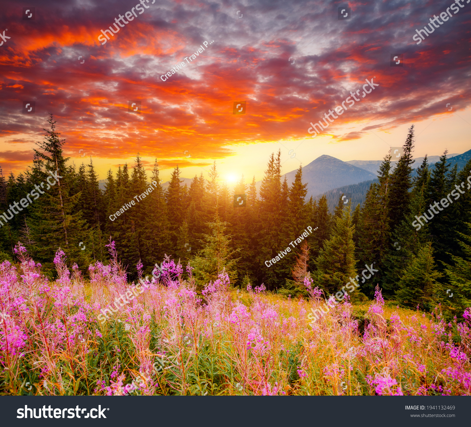 Spectacular sunset in the valley of the mountains. Location place Carpathian mountains, Ukraine, Europe. Vibrant photo wallpaper. Picturesque nature photography. Discover the beauty of earth. #1941132469