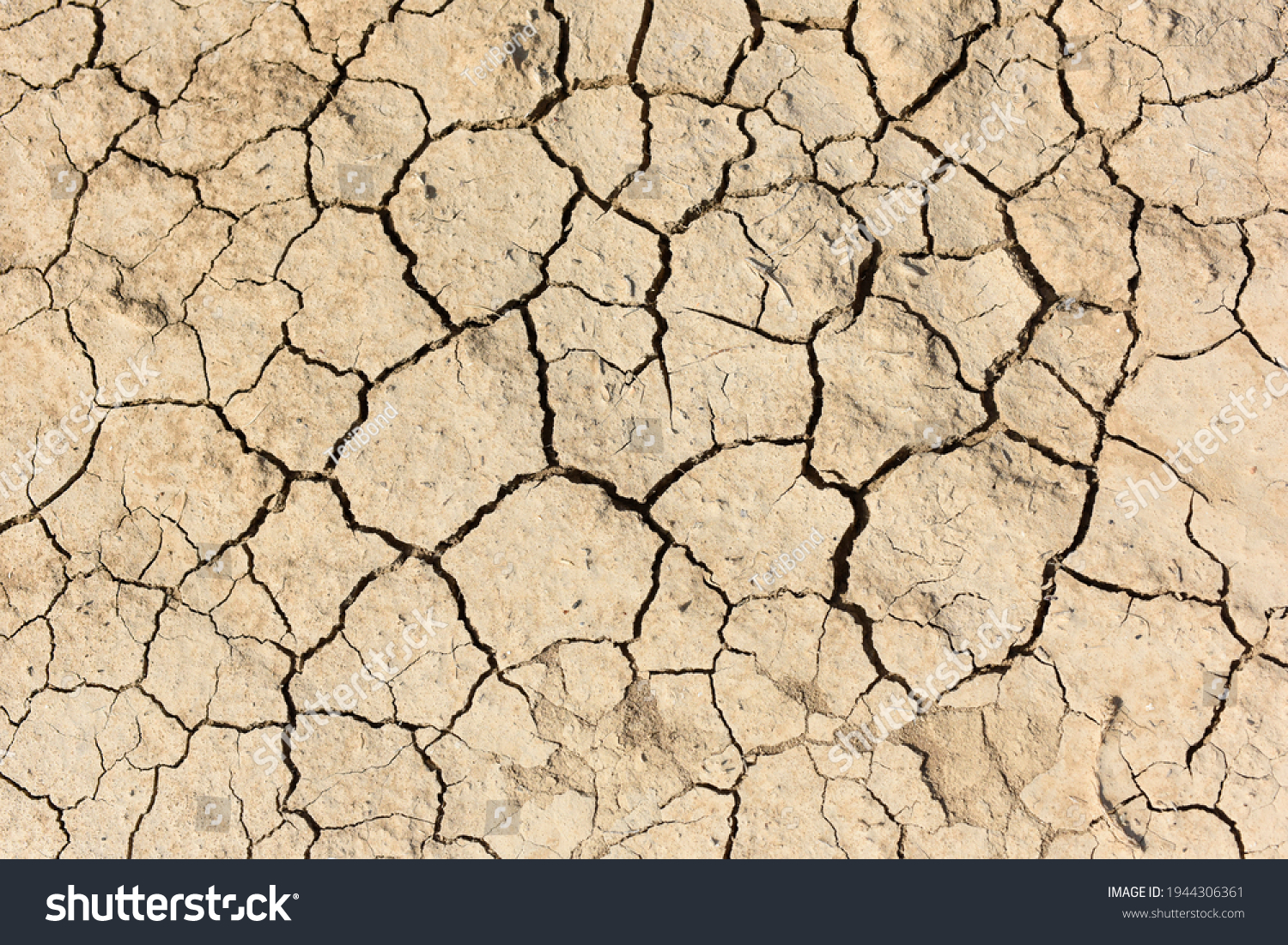 Background, texture of dry cracked soil. Soil drought. Deep cracks. Dried soil. Environmental protection. World Day to Combat Desertification and Drought. Ecology and Nature Conservation. #1944306361