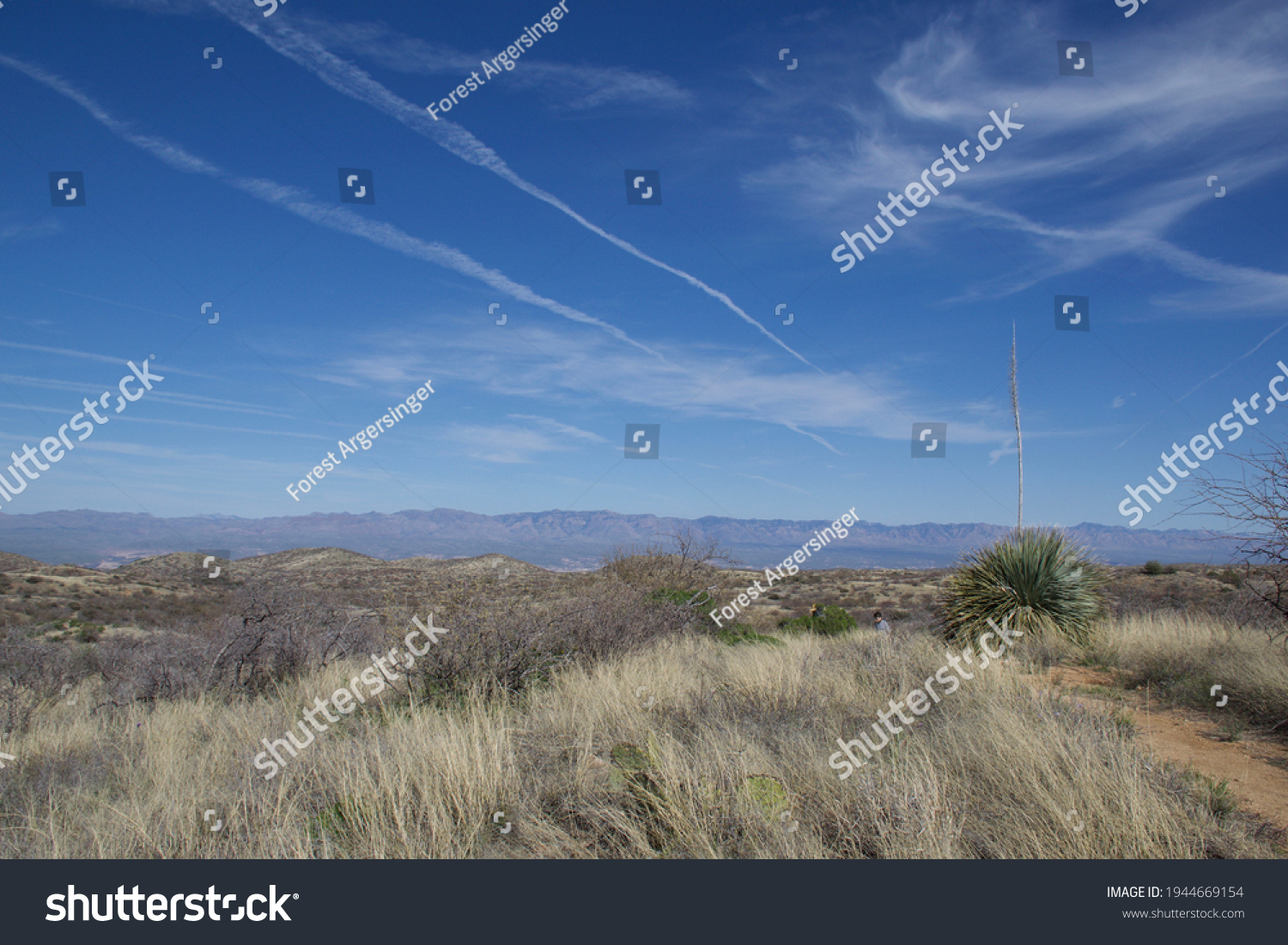 Oracle State Park Arizona horizon #1944669154