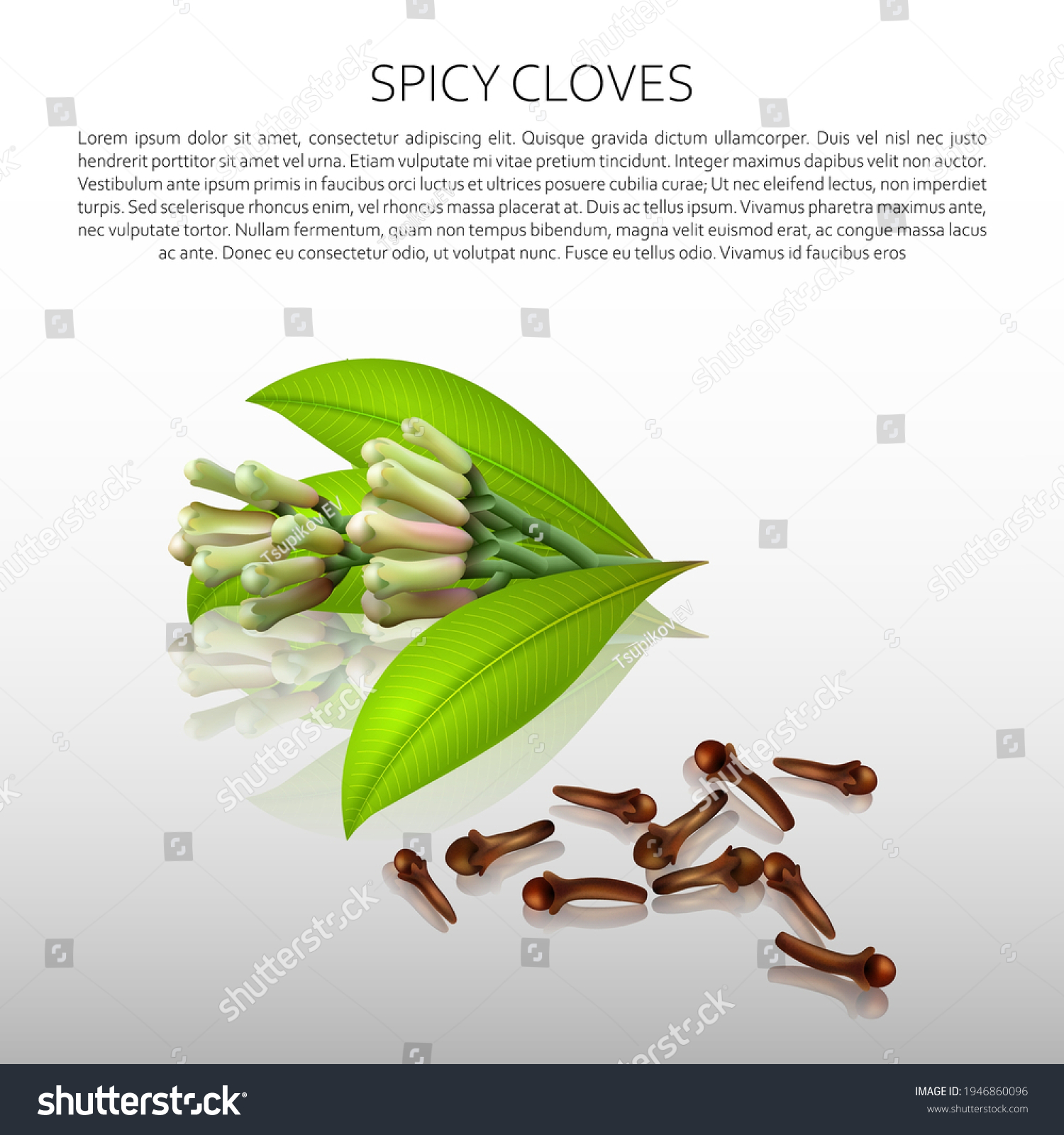 Culinary spices. Spicy cloves. Abstract vector illustration of spicy cloves on a light background with reflection. A blank for creativity. #1946860096