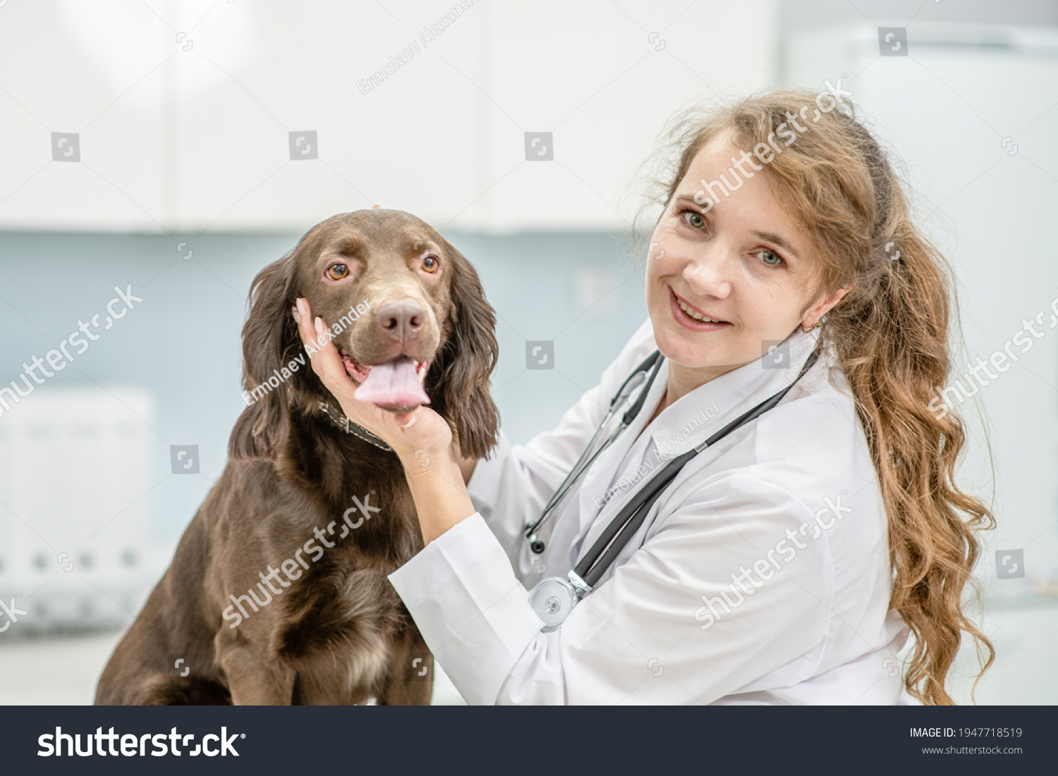 Smiling vet doctor making a check up of an adult spaniel dog with stethoscope at clinic #1947718519