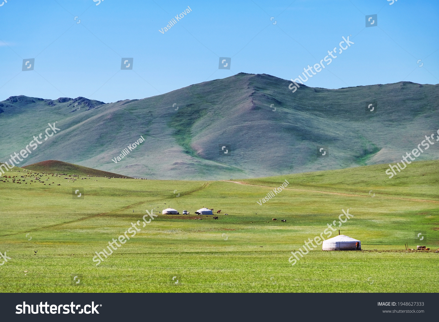 Mongolian landscape with mountain steppe with ger and herd of horses, sheep and cow. Western Mongolia #1948627333