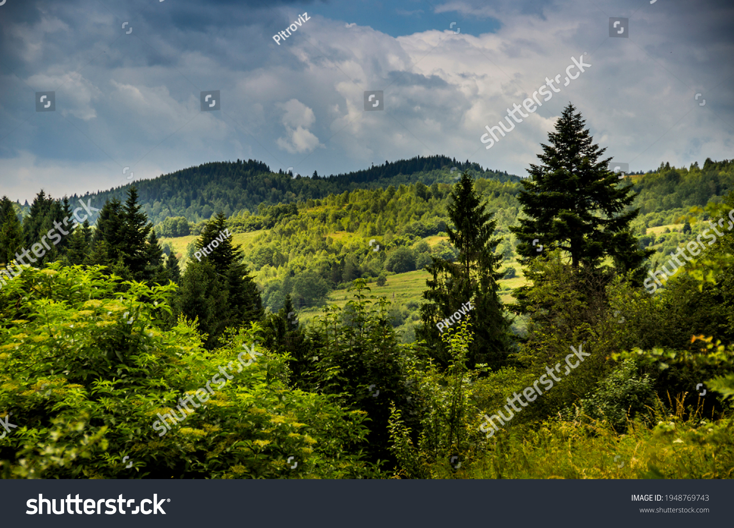 the panoramic view of landscape of the carpathian mountains, national park Skolivski beskidy, Lviv region of Western Ukraine #1948769743