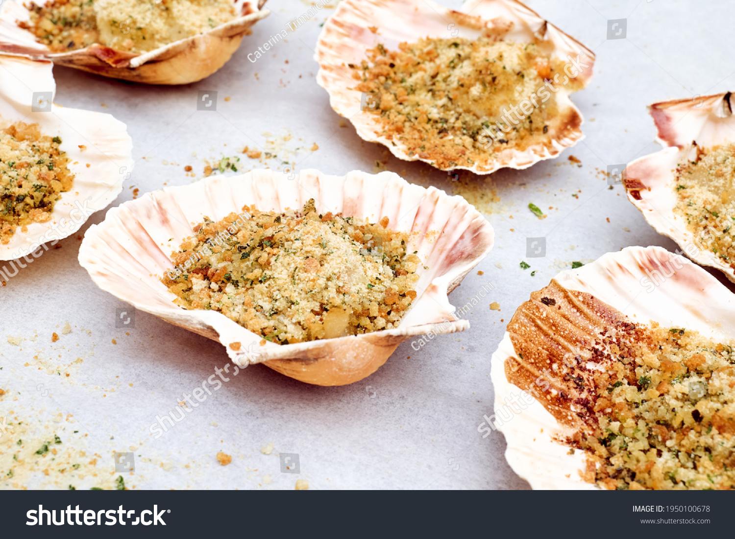 Backed scallops in shells on white background. Scallops au gratin on greaseproof paper. Mediterranean seafood. Fresh Shellfish. Aequipecten opercularis. Pecten Jacobaeus #1950100678