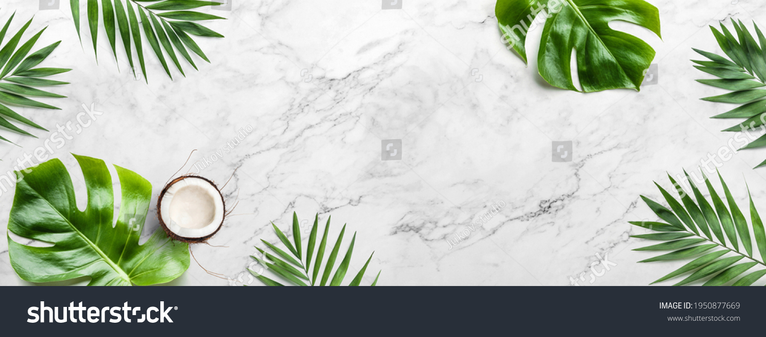 Tropical leaves, Monstera plants and coconut on light marble background. Summer concept, flat lay, top view #1950877669