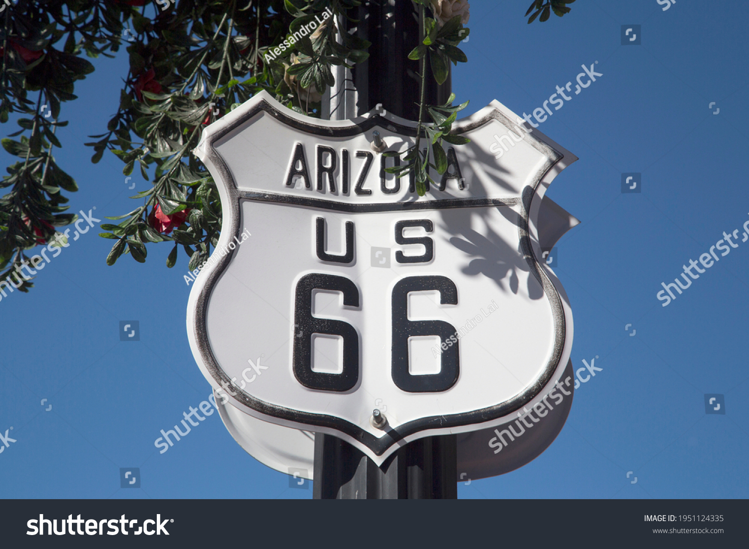 The Historic U.S Route 66, Williams, Arizona #1951124335