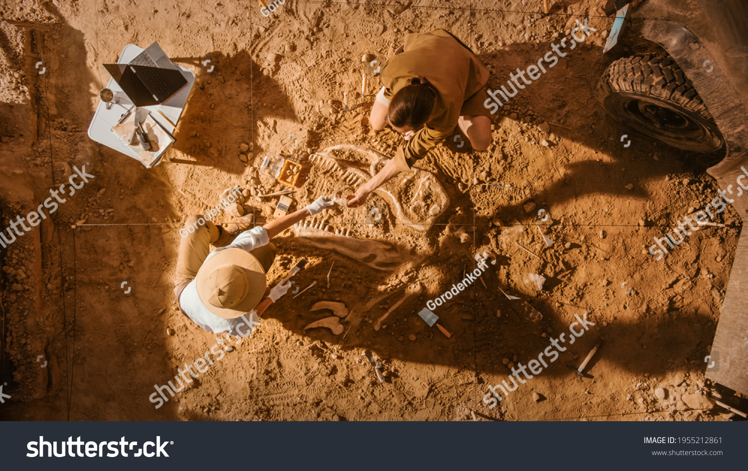 Top-Down View: Two Great Paleontologists Cleaning Newly Discovered Dinosaur Skeleton. Archeologists Discover Fossil Remains of New Species. Archeological Excavation Digging Site. #1955212861