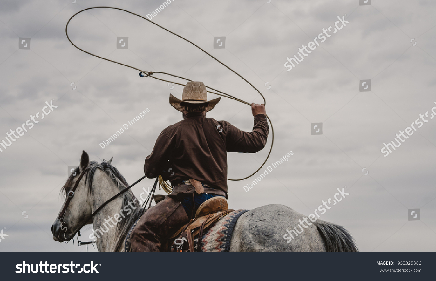 Cowboy roping on a grey horse #1955325886
