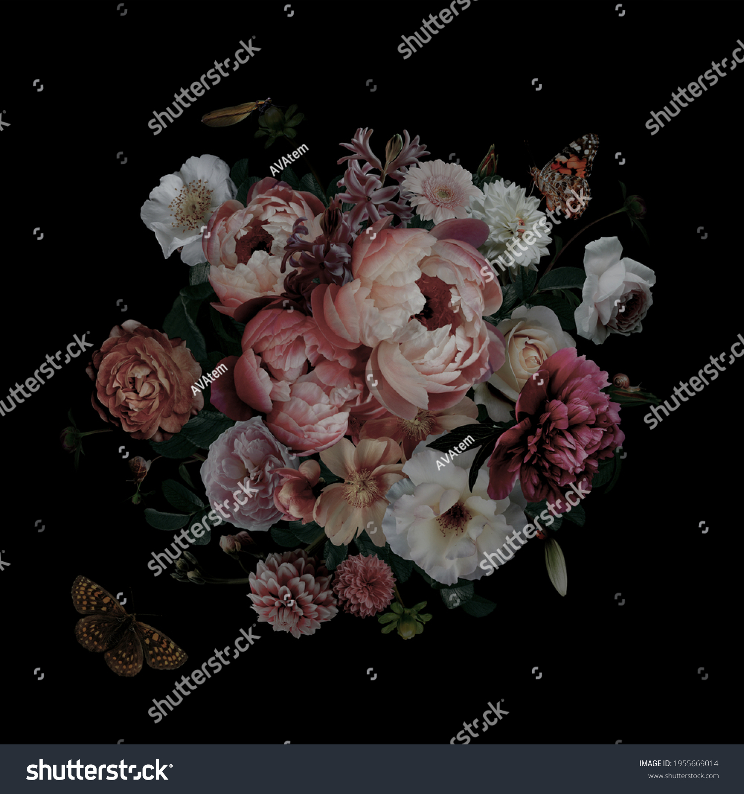 Luxurious baroque and victorian bouquet. Beautiful garden flowers, leaves and butterfly on black background. Pink and white peonies, roses. Vintage illustration. Floral decoration advertising material #1955669014