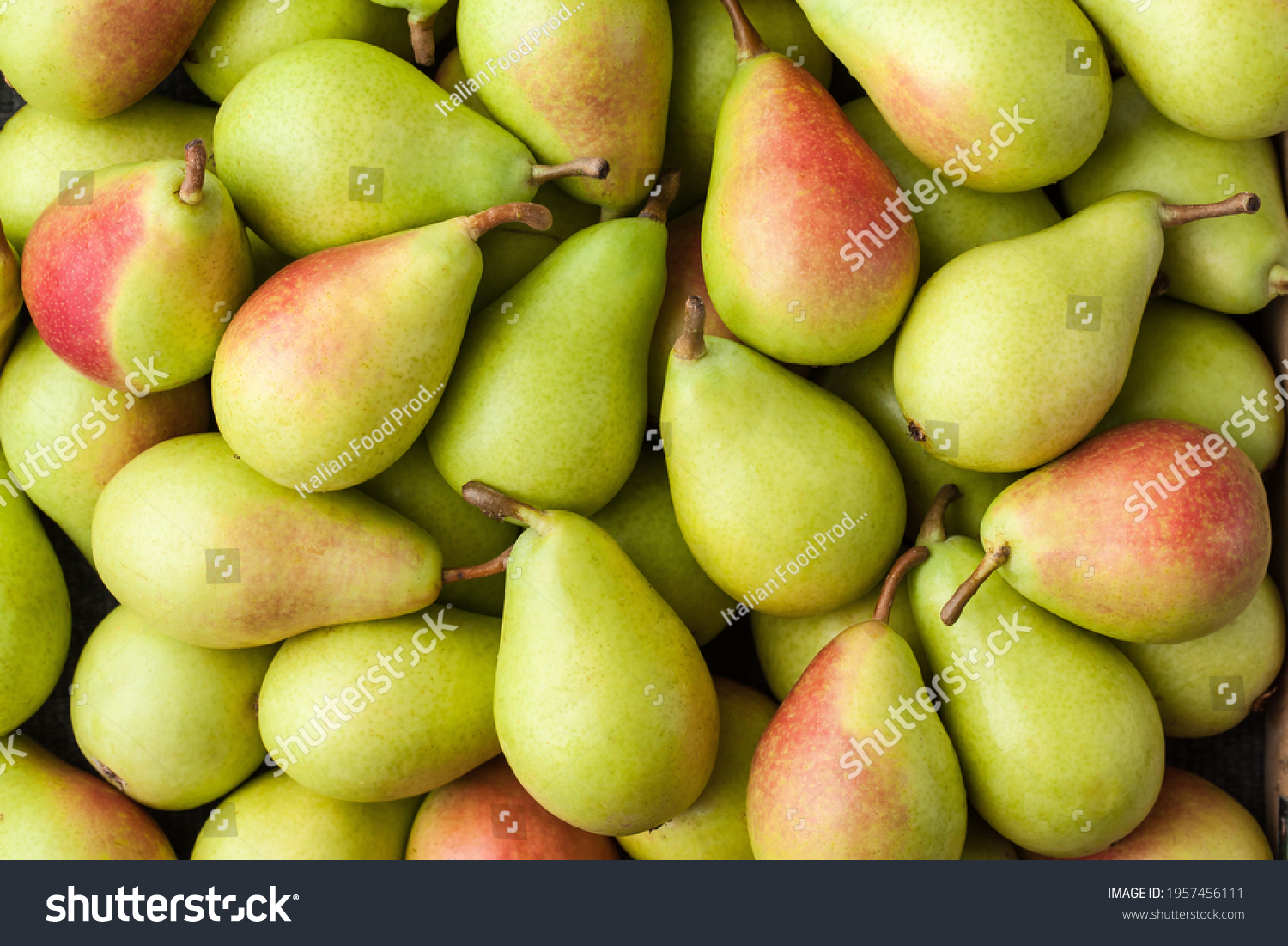 Pears, Large Group, Background – Italian Cultivar of Green Pear "Pera Coscia" (Pyrus Communis) with Red Shade – Detailed Close-Up Macro, Top View, from Above #1957456111