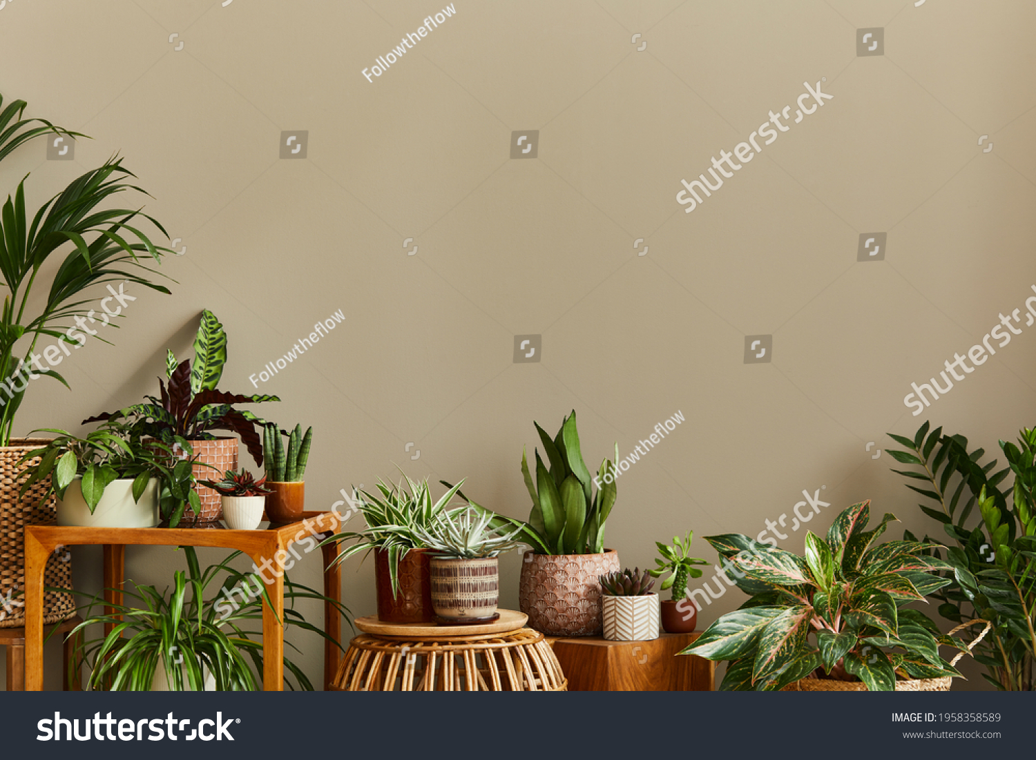 Stylish composition of home garden interior filled a lot of beautiful plants, cacti, succulents, air plant in different design pots. Home gardening concept Home jungle. Copy spcae. Template #1958358589
