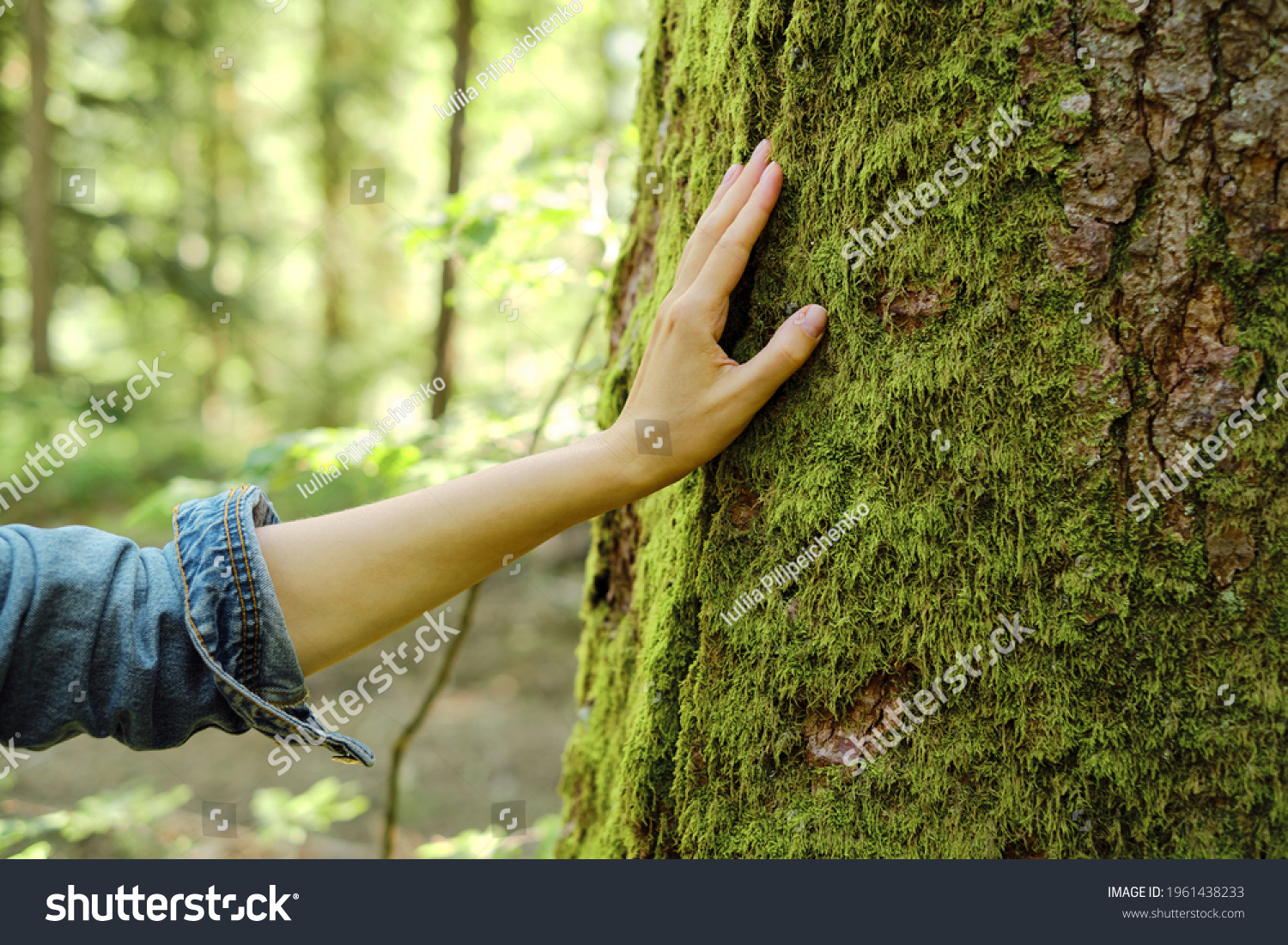 Girl hand touches a tree with moss in the wild forest. Forest ecology. Wild nature, wild life. Earth Day. Traveler girl in a beautiful green forest. Conservation, ecology, environment concept #1961438233