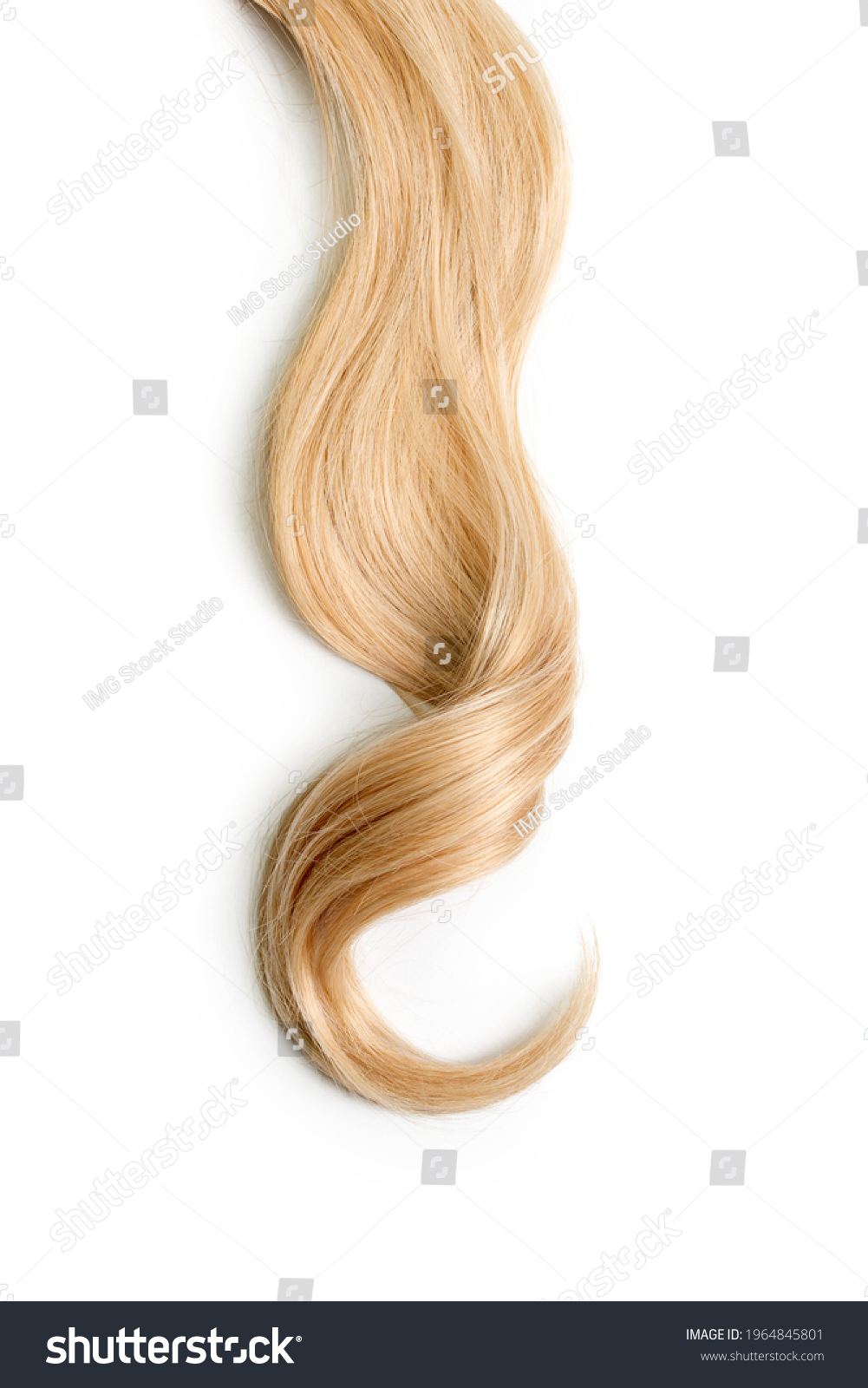 Curly blonde hair isolated on white background. Beautiful healthy long blond hair lock, haircut, hairstyle. Dyed hair or coloring, hair extension, cure, treatment concept #1964845801