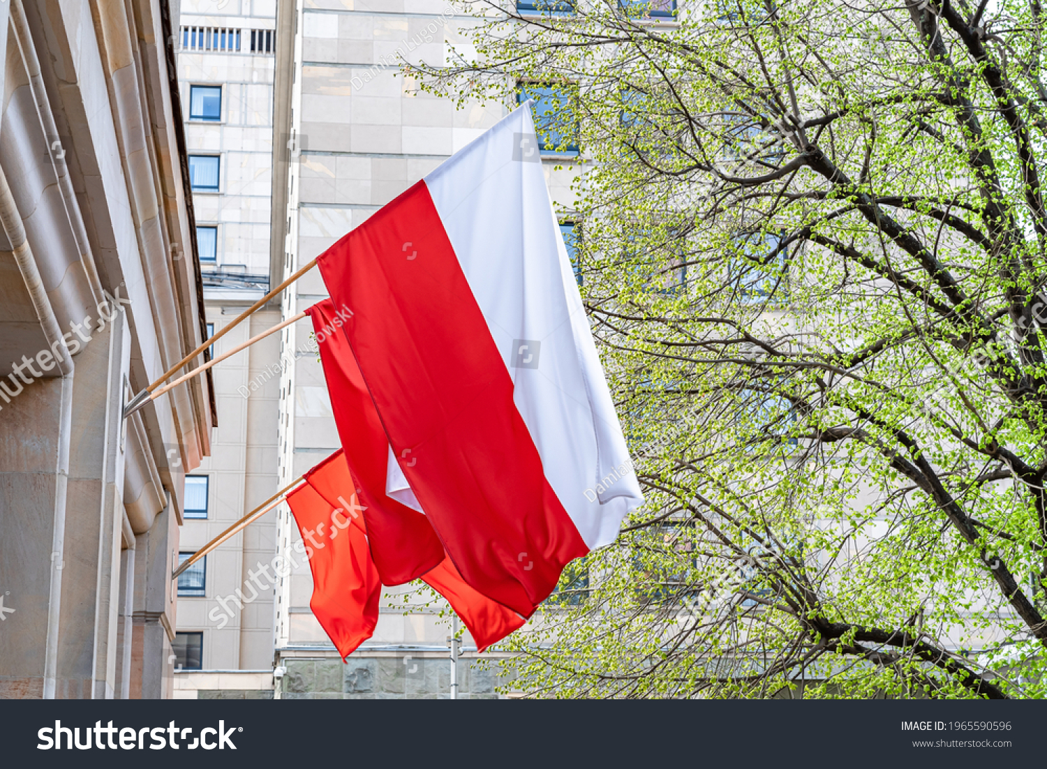 Flag of Poland on facade of a building waving in the wind on sunny day. Celebrating Polish National Flag Day #1965590596