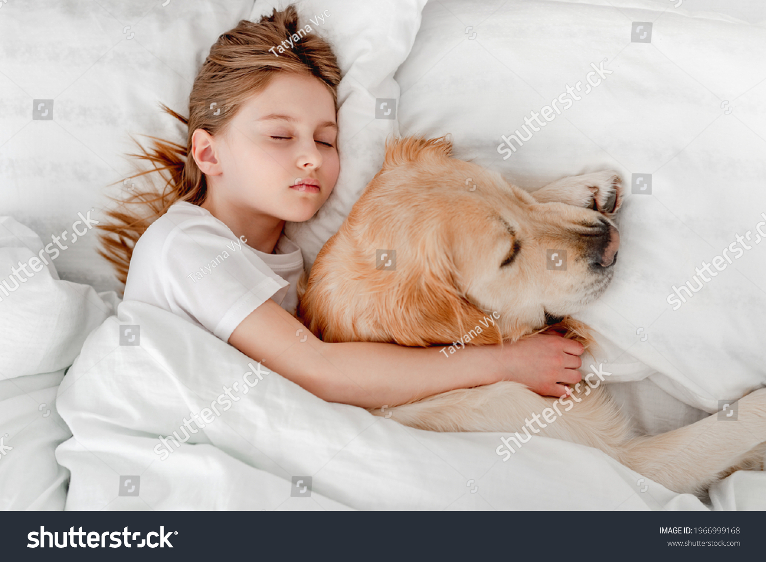 Beautiful little girl staying in the bed with golden retriever dog in the morning time and napping. Kid sleeping with pet at home. Portrait of friendship between human child and animal #1966999168