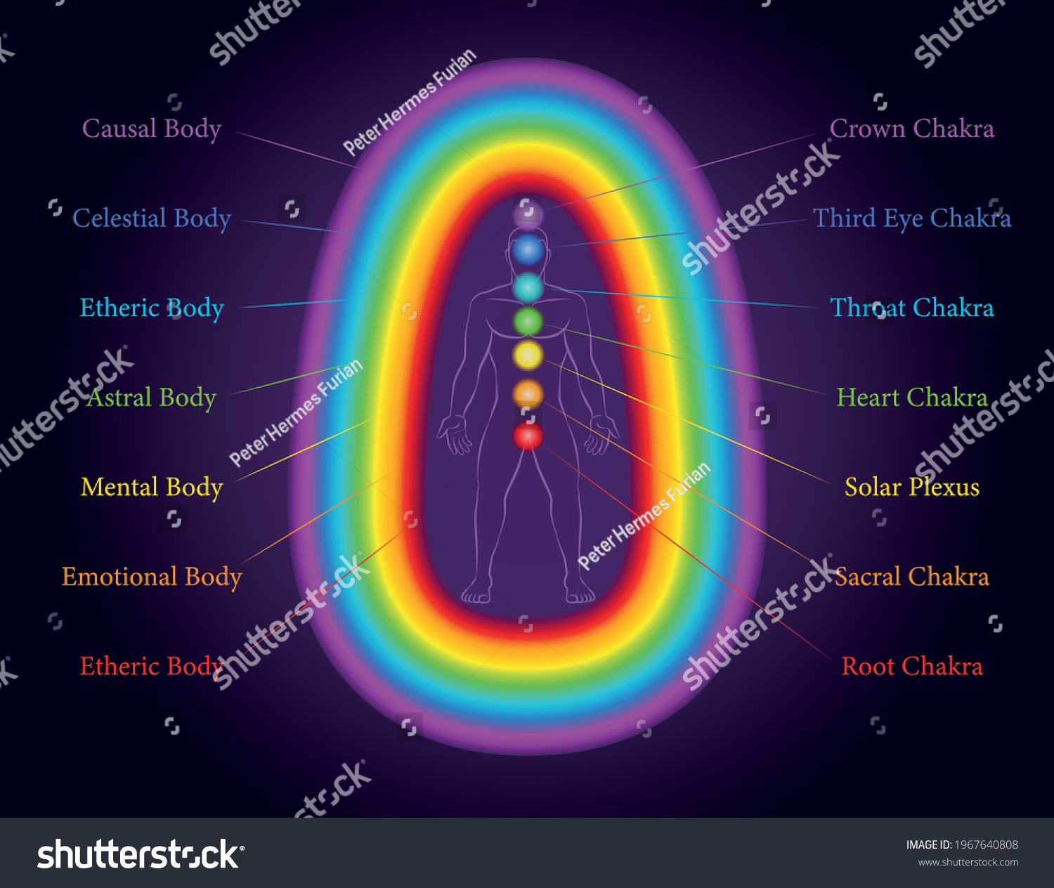 Aura bodies. The seven layers of a meditating - Royalty Free Stock ...