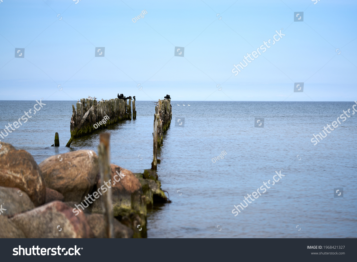 Battered wooden piles of the old pier in the Baltic Sea, leaving the horizon #1968421327