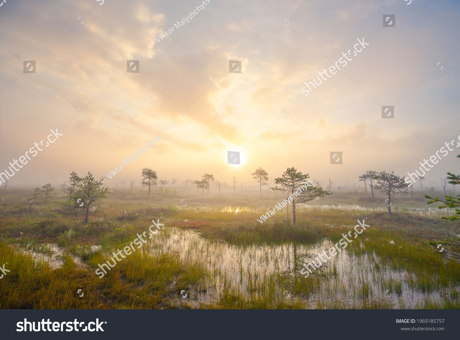 Sunset over swamp Yelnya - one of the largest swamps in Europe #1969185757