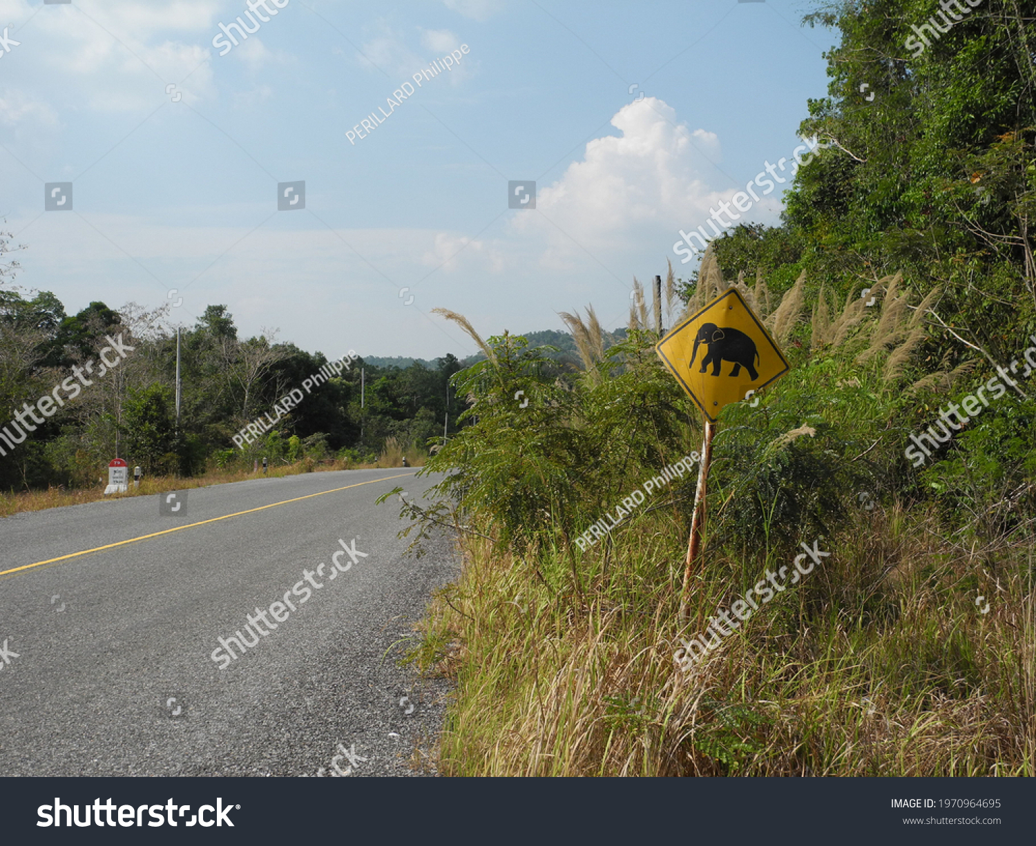              beware of pachyderms, road sign, cambodia          #1970964695