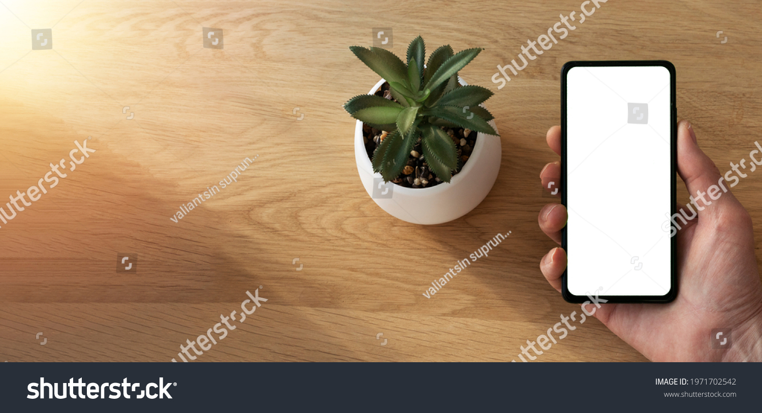 Wooden eco banner with mobile phone screen for mock up in male hand and green house plant in pot. App on smartphone ad. #1971702542