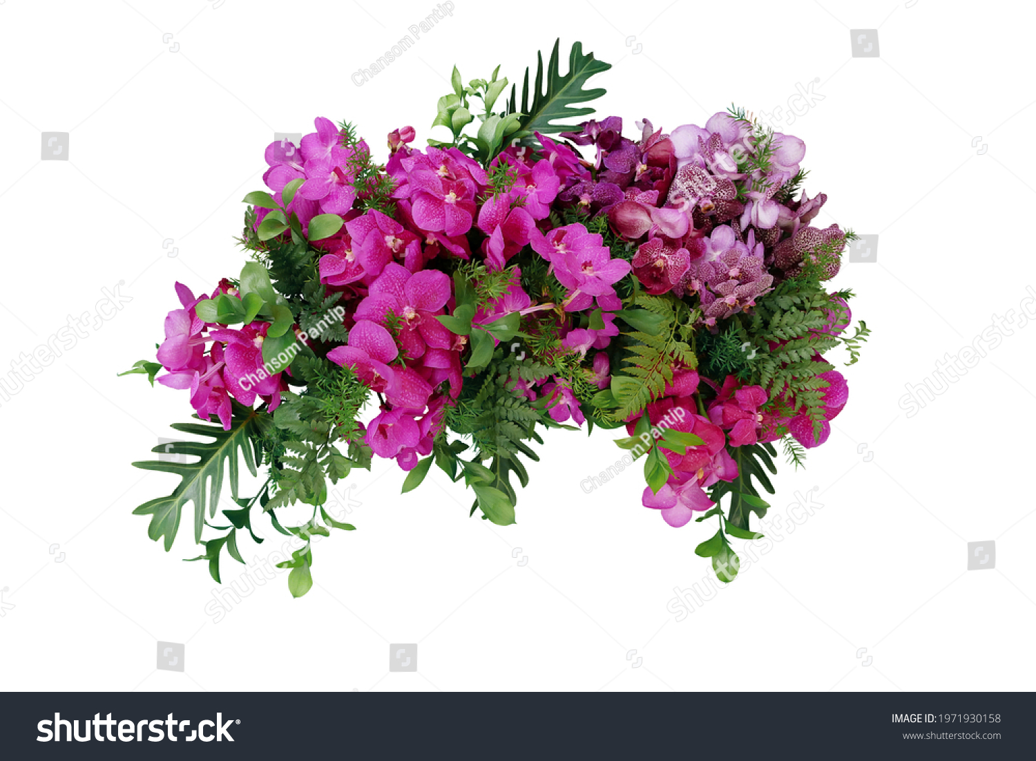 Tropical leaves and flower garland bouquet arrangement mixes orchids flower with tropical foliage fern, philodendron and ruscus leaves isolated on white background with clipping path. #1971930158