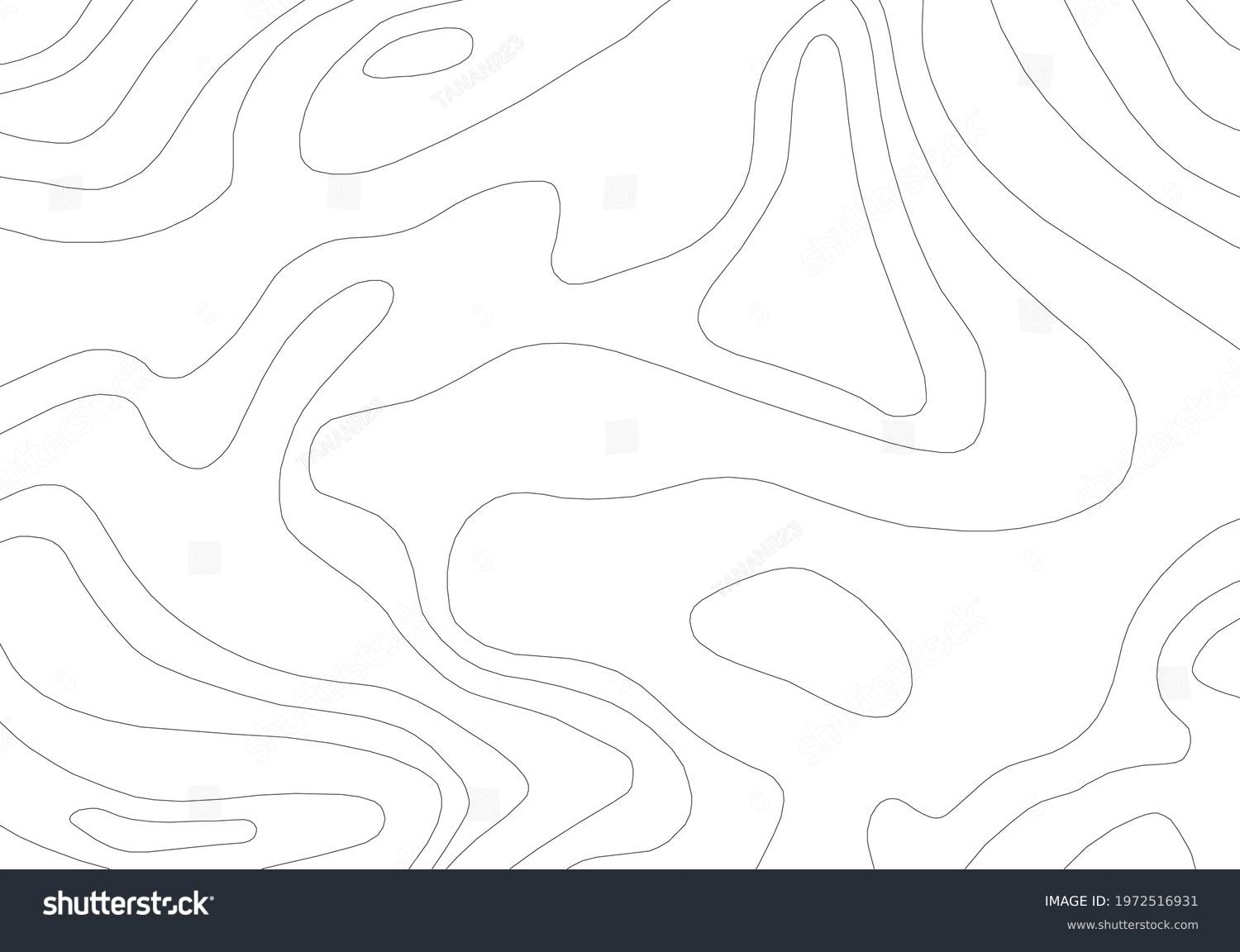 Abstract Contour Topographic Line Pattern in Black and White #1972516931