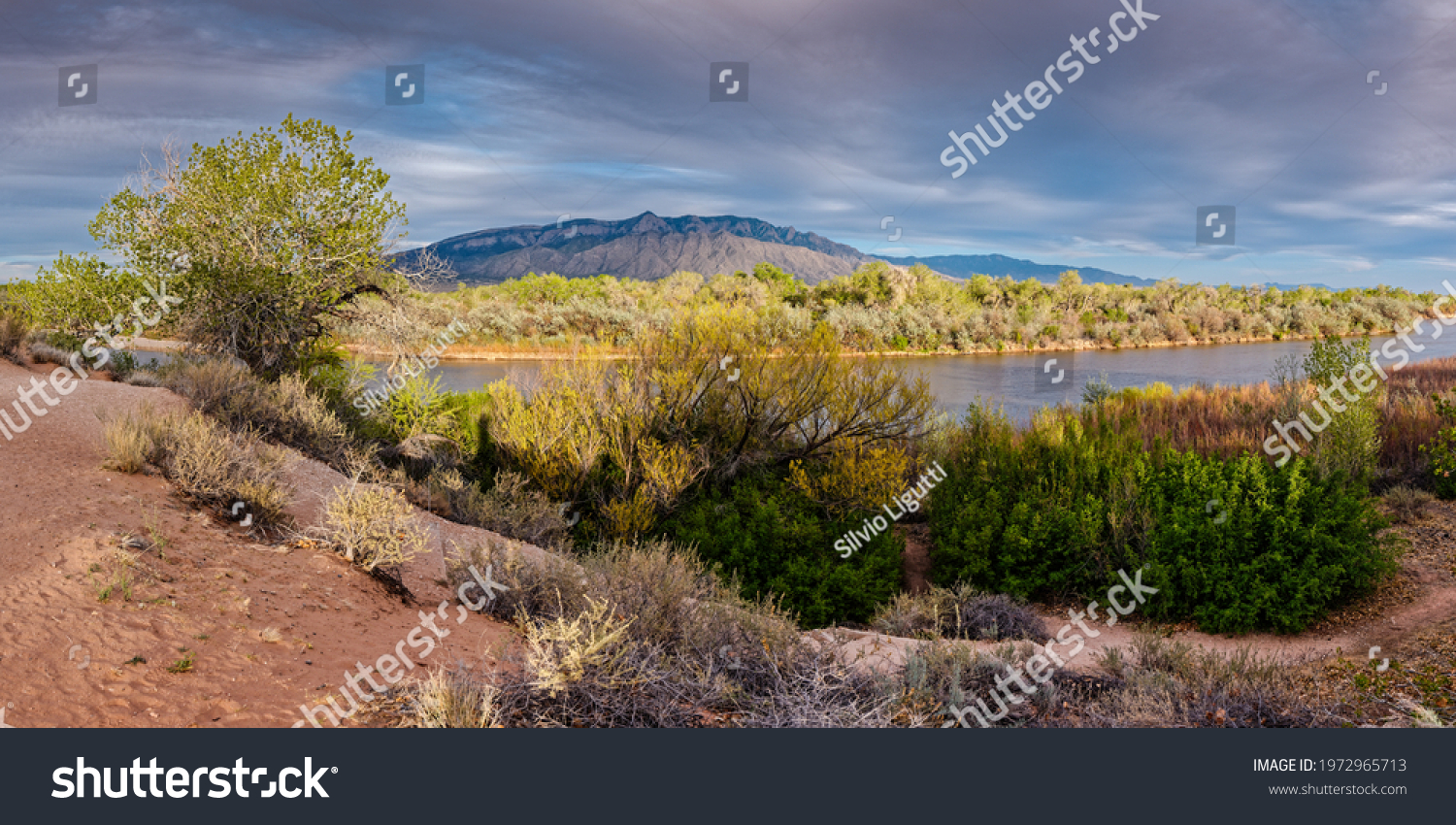 Panorama of Sandia Mountains, Bosque, and Rio Grande from Rio Rancho Bosque Preserve - Albuquerque  #1972965713