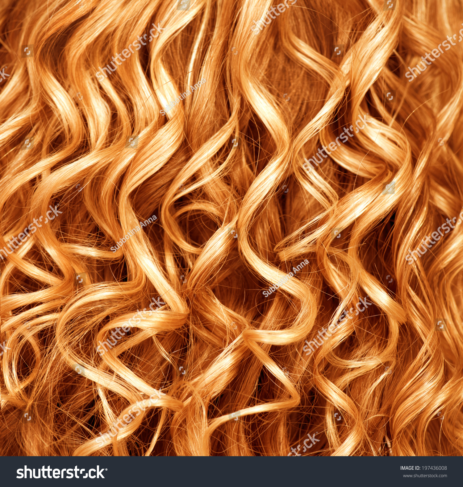 Curly Red Hair Closeup Wavy Blond Hair Stock Photo 197436008