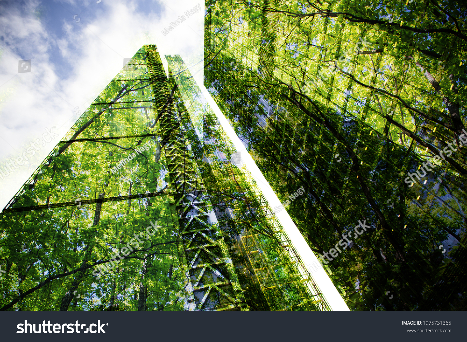 green city - double exposure of lush green forest and modern skyscrapers windows	 #1975731365