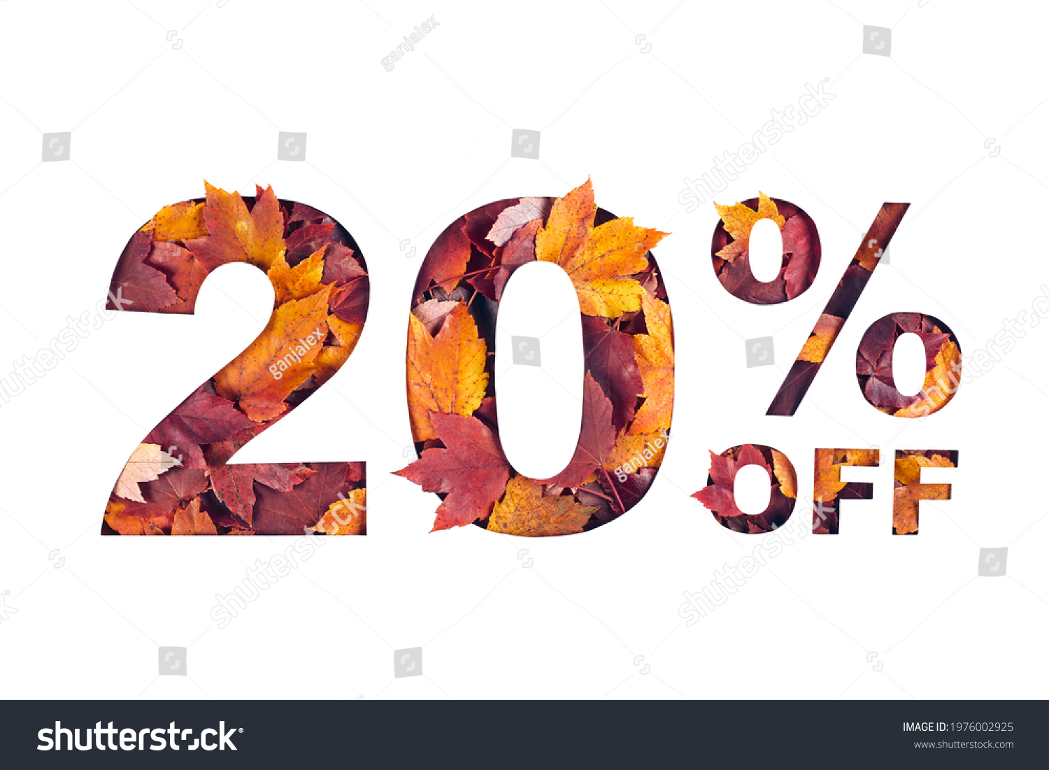 Paper cut 20 percent off text filled with texture of yellow and red autumn fall maple leaves isolated on white background. Autumn flyer, banner or poster design template. Fall shopping concept. #1976002925