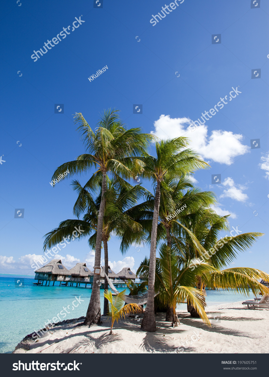 The island with palm trees in the ocean #197605751