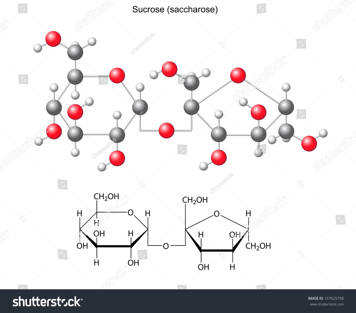 Structural Chemical Formula And Model Of Sucrose Royalty Free Stock