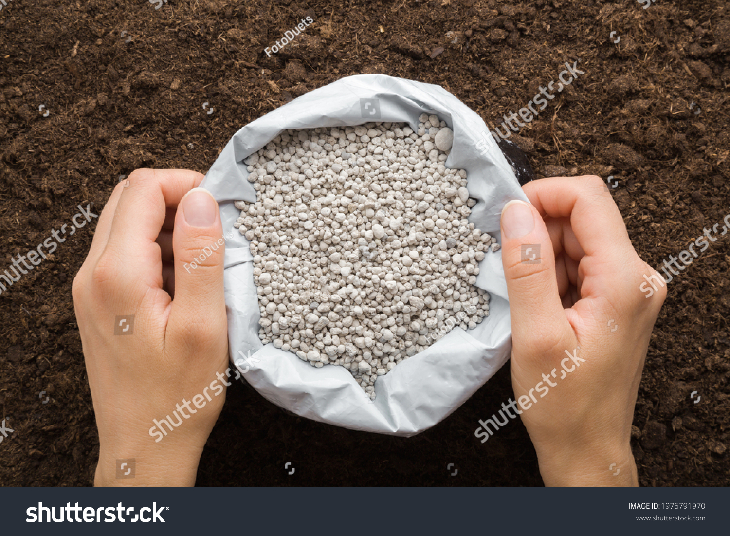 Young woman hands holding opened plastic bag with gray complex fertiliser granules on dark soil background. Closeup. Point of view shot. Product for root feeding of vegetable, flowers and plants.  #1976791970