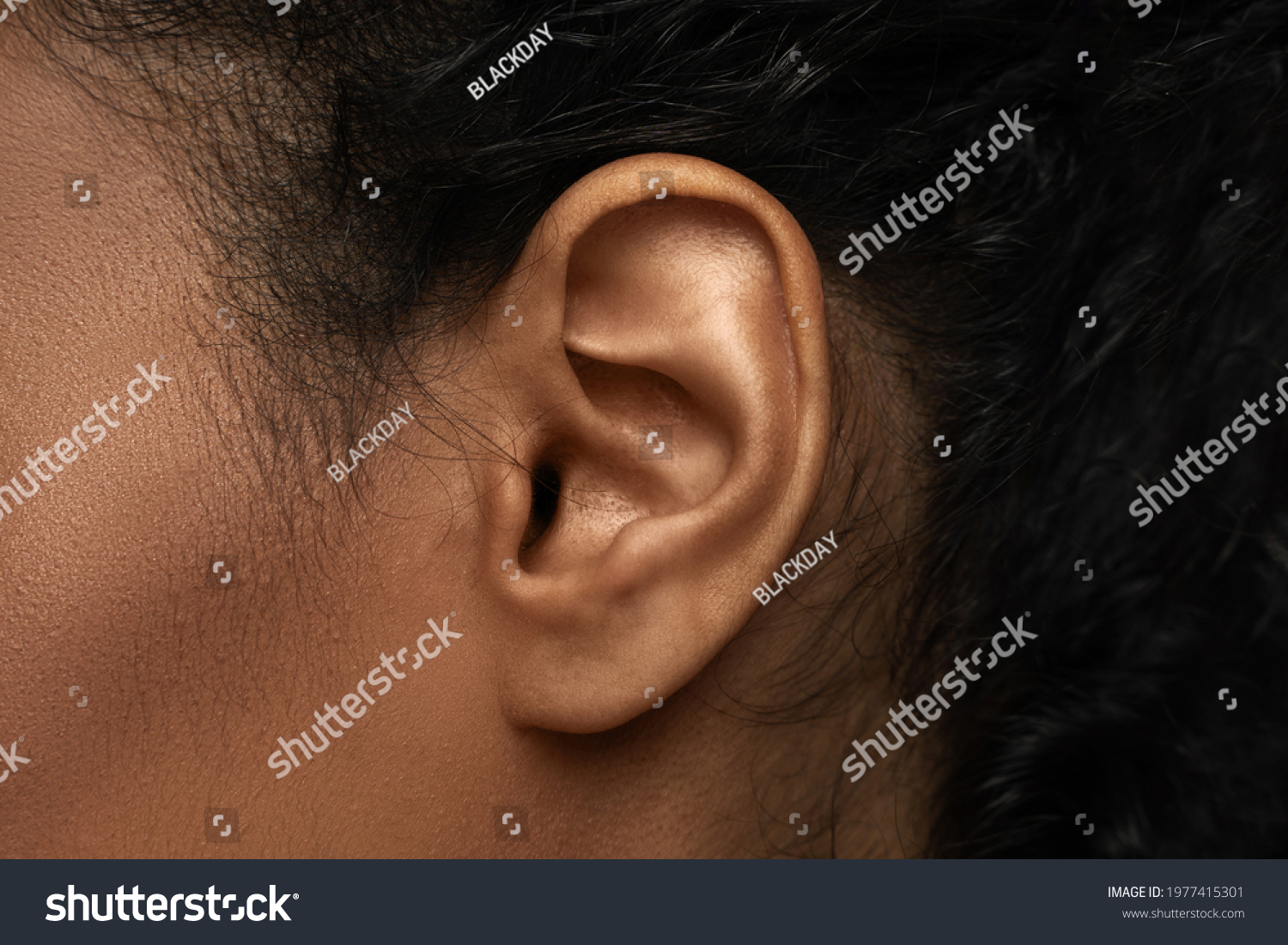 Body parts in details - Closeup view of black female ear #1977415301