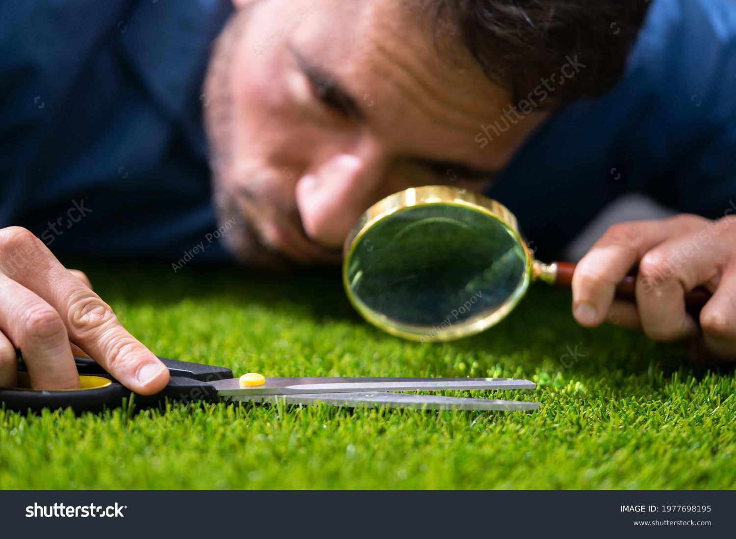 Compulsive Obsessive Disorder. Perfectionist Cutting Garden Grass #1977698195