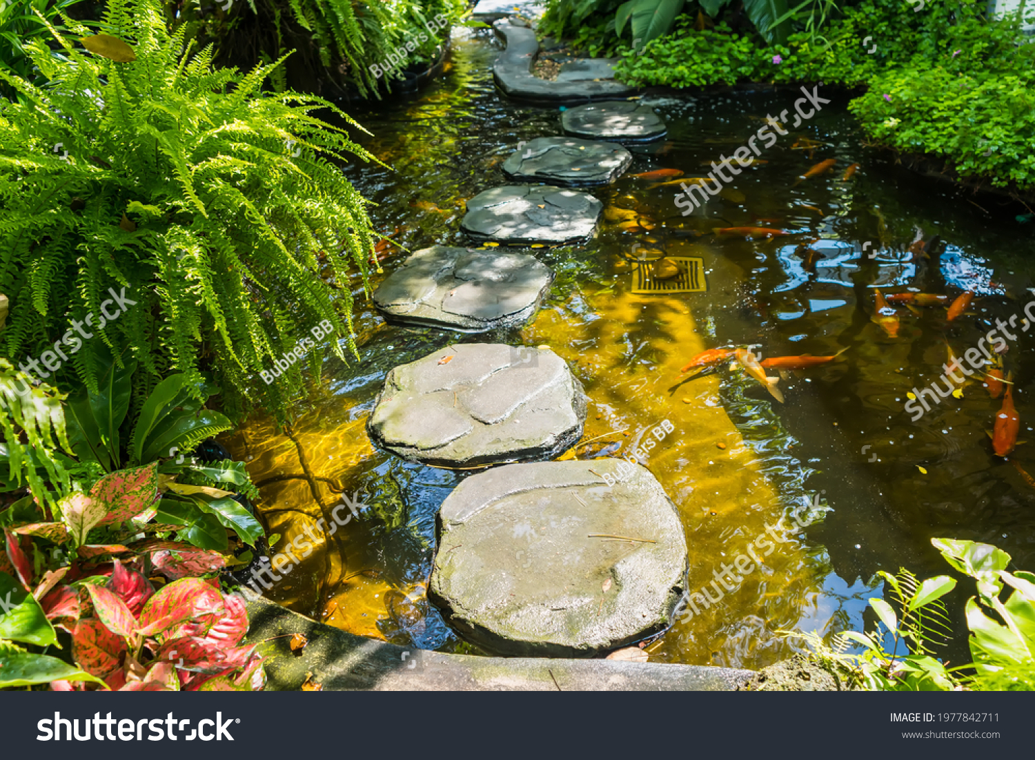 Stone platform, walkway across the garden fish pond #1977842711