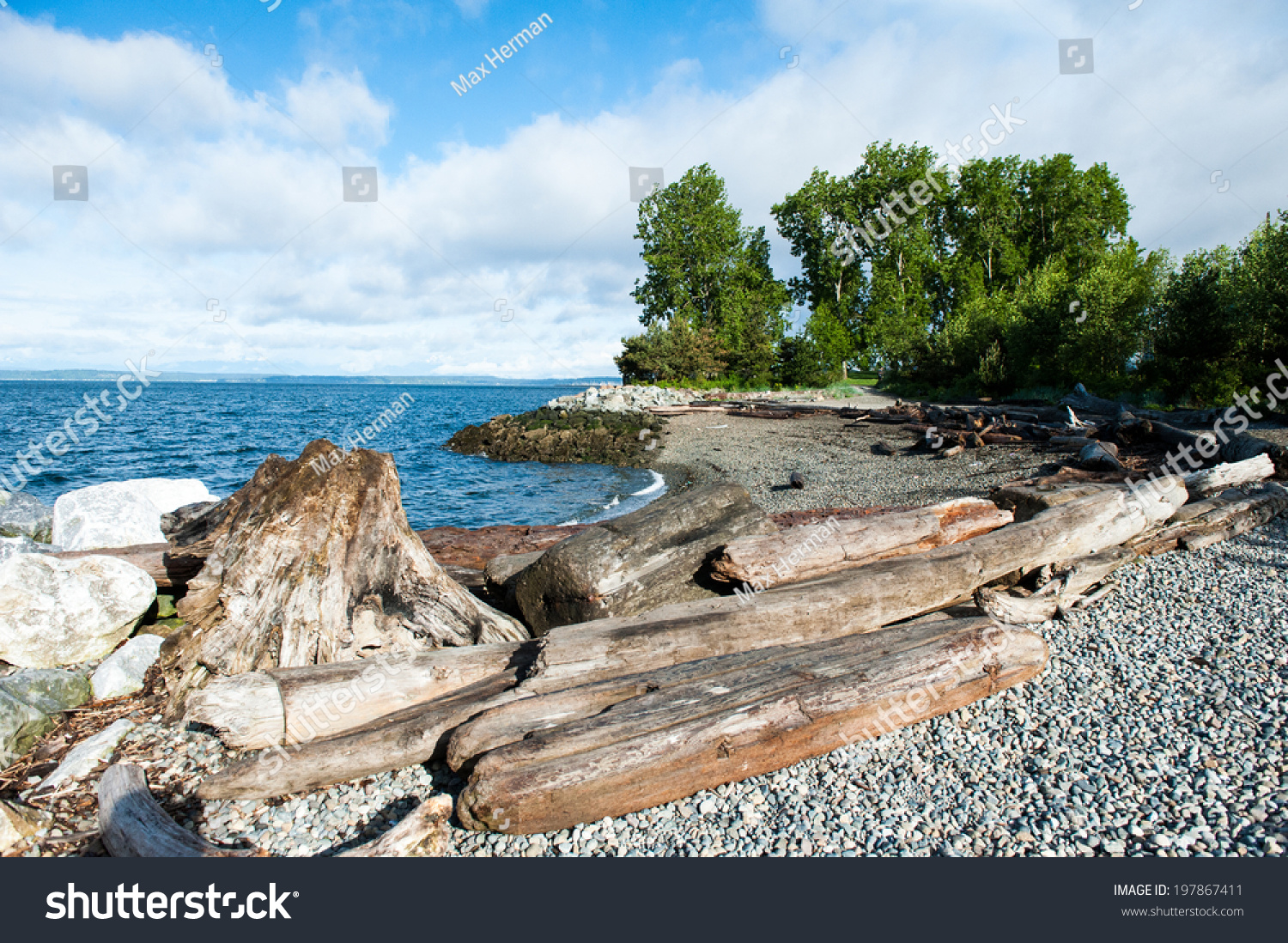 Myrtle Edwards Park in Seattle includes small beached areas. #197867411