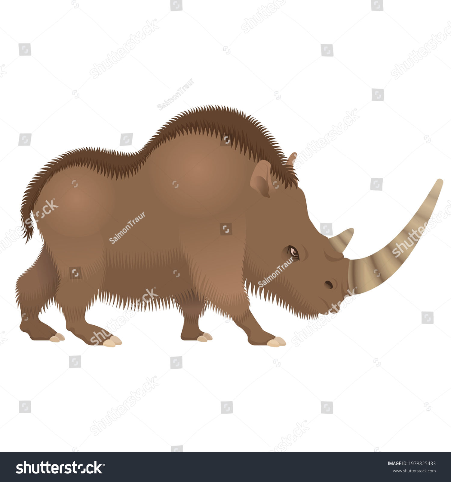 Woolly rhino. Vector illustration isolated on - Royalty Free Stock ...