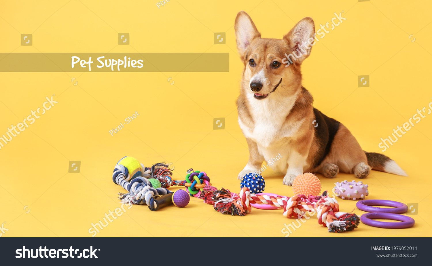 Text "Pet supplies" and cute dog with toys on color background #1979052014