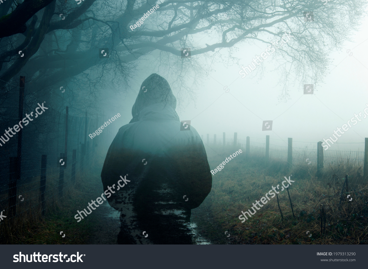A double exposure of an atmospheric half transparent man looking at a foggy path in the countryside. On a moody foggy winters day.  #1979313290